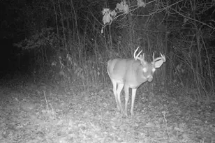 239 County 49 NW, Pine River, MN 56474 - Photo 65