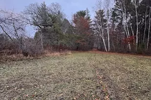 239 County 49 NW, Pine River, MN 56474 - Photo 99