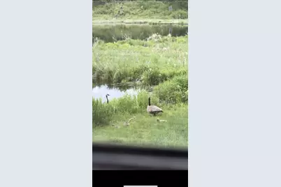 239 County 49 NW, Pine River, MN 56474 - Photo 71