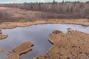 239 County 49 NW, Pine River, MN 56474 - Photo 13