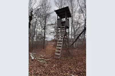 239 County 49 NW, Pine River, MN 56474 - Photo 97