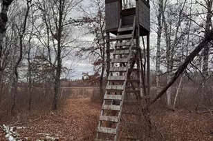 239 County 49 NW, Pine River, MN 56474 - Photo 97