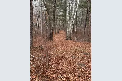 239 County 49 NW, Pine River, MN 56474 - Photo 97