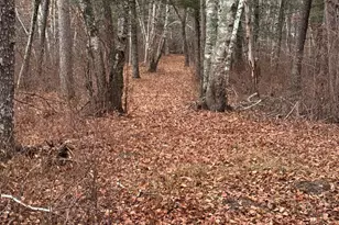 239 County 49 NW, Pine River, MN 56474 - Photo 97