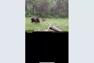 239 County 49 NW, Pine River, MN 56474 - Photo 77