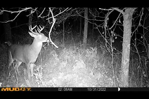 239 County 49 NW, Pine River, MN 56474 - Photo 79