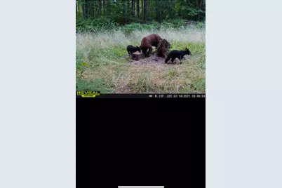 239 County 49 NW, Pine River, MN 56474 - Photo 93