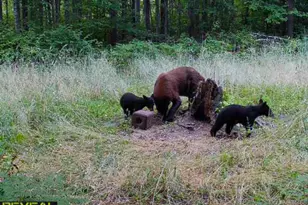 239 County 49 NW, Pine River, MN 56474 - Photo 93