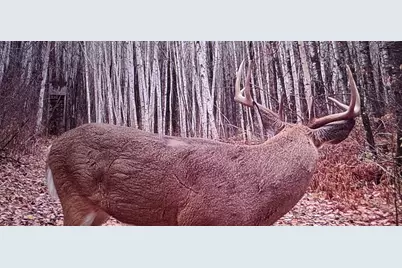 239 County 49 NW, Pine River, MN 56474 - Photo 73