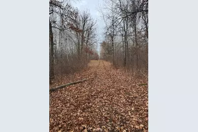 239 County 49 NW, Pine River, MN 56474 - Photo 99