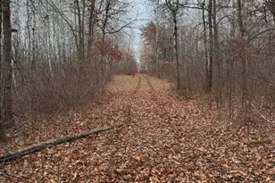 239 County 49 NW, Pine River, MN 56474 - Photo 99