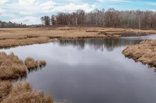 239 County 49 NW, Pine River, MN 56474 - Photo 15