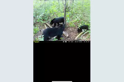 239 County 49 NW, Pine River, MN 56474 - Photo 89