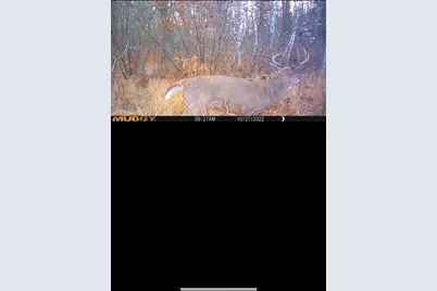 239 County 49 NW, Pine River, MN 56474 - Photo 79