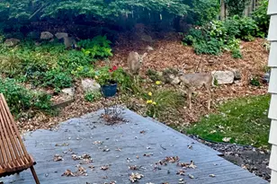 2305 Brookridge Ave, Golden Valley, MN 55422 - Photo 19