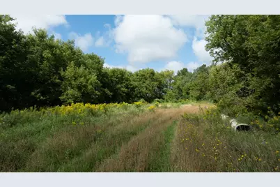Lot 2 280th Street, Glenwood City, WI 54013 - Photo 7