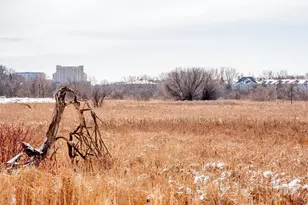 1216 Trailwood S, Hopkins, MN 55343 - Photo 23