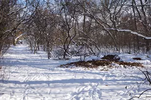 23429 London St NE, Bethel, MN 55005 - Photo 49