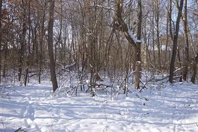 23429 London Street NE, Bethel, MN 55005 - Photo 51