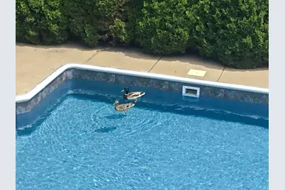 4890 Cottonwood Lane N, Plymouth, MN 55442 - Photo 43