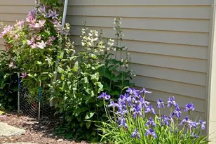 4890 Cottonwood Ln N, Plymouth, MN 55442 - Photo 47