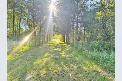 40884 Nature Avenue, Fleming Twp, MN 56431 - Photo 23