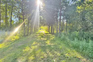 40884 Nature Ave, Fleming Twp, MN 56431 - Photo 23