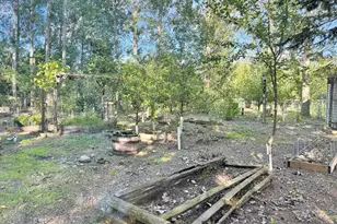 40884 Nature Ave, Fleming Twp, MN 56431 - Photo 19