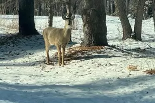 1516 Twin Springs Rd, Houlton, WI 54082 - Photo 57