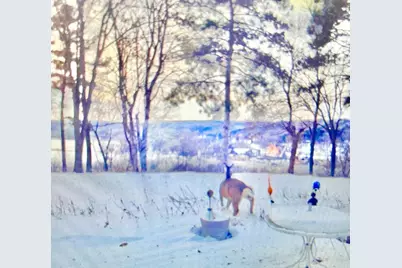 1516 Twin Springs Road, Houlton, WI 54082 - Photo 57