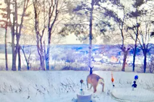 1516 Twin Springs Rd, Houlton, WI 54082 - Photo 57