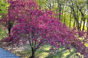 1516 Twin Springs Rd, Houlton, WI 54082 - Photo 59