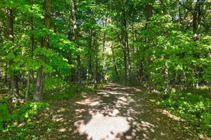 12745 Ashbury Dr, Rogers, MN 55374 - Photo 41