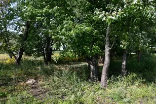 530 Lakeside Bay Dr S, Bayport, MN 55003 - Photo 21