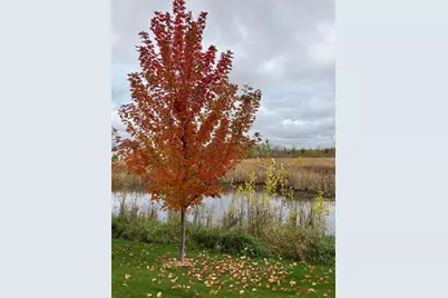 11042 Yalta Street NE #D, Blaine, MN 55449 - Photo 37