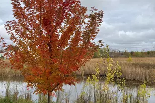 11042 Yalta St NE, Blaine, MN 55449 - Photo 37