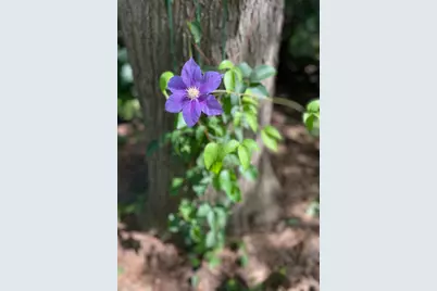 602 6th Avenue SW, Austin, MN 55912 - Photo 55