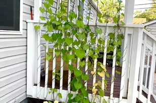 4438 Yates Ave N, Crystal, MN 55422 - Photo 21