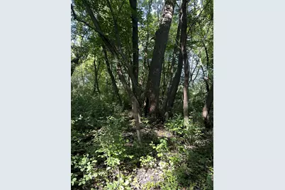 Xxx 50th Street SE, Franklin Township, MN 55313 - Photo 5