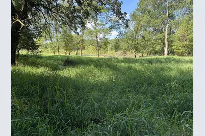 Xxx 50th Street SE, Franklin Township, MN 55313 - Photo 3