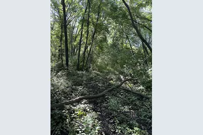 Xxx 50th Street SE, Franklin Township, MN 55313 - Photo 1