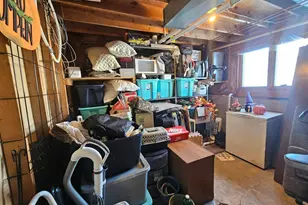 209 2nd St NE, Clarks Grove, MN 56016 - Photo 29