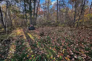 3108 Blackbird Rd NE, Cass Lake, MN 56633 - Photo 35