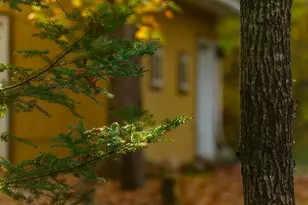 3108 Blackbird Rd NE, Cass Lake, MN 56633 - Photo 21