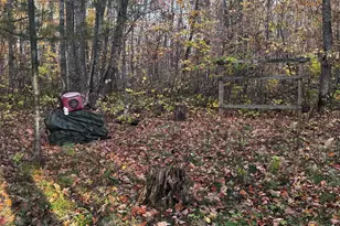 3108 Blackbird Rd NE, Cass Lake, MN 56633 - Photo 37