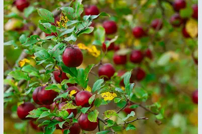 3108 Blackbird Rd NE, Cass Lake, MN 56633 - Photo 15