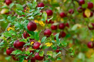 3108 Blackbird Rd NE, Cass Lake, MN 56633 - Photo 15