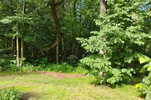 44888 Co Hwy 54, Ottertail, MN 56571 - Photo 3