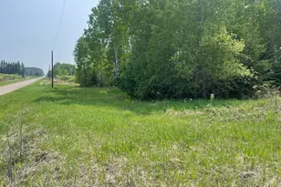 8017 N Savanna Rd, Floodwood, MN 55736 - Photo 1