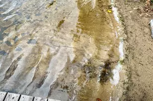 38509 Pickerel Trail, Crosslake, MN 56442 - Photo 53